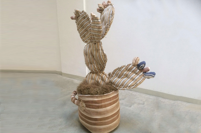 Cactus Lifestyle | Silvia Manazza